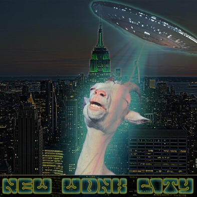 new wonk city