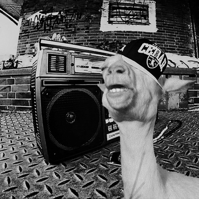 similar to trap but anything that has rap acapella's over it, or just bassy rap in general